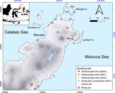 Bioaccumulation of Mercury and Other Trace Elements in the Edible Holothurian Holothuria (Halodeima) atra in Relation to Gold Mining Activities in North Sulawesi, Indonesia